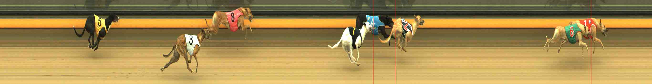 Photo finish for Horsham Race 1