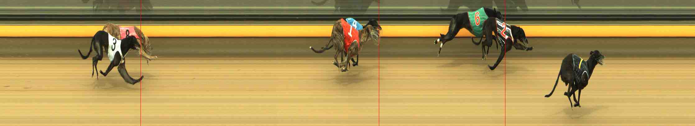 Photo finish for Horsham Race 7