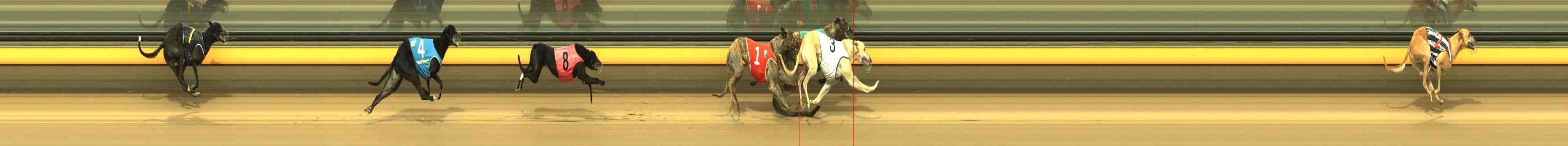 Photo finish for Horsham Race 8