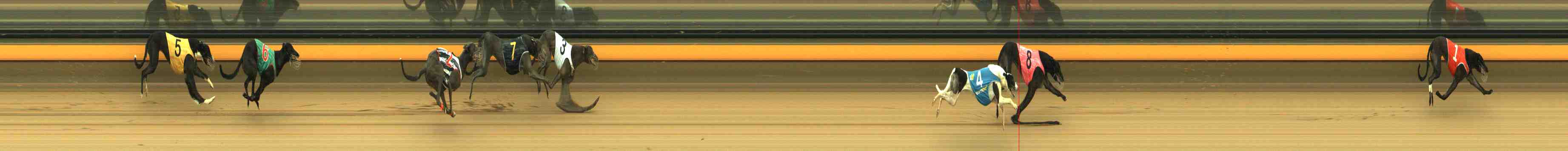 Photo finish for Horsham Race 9