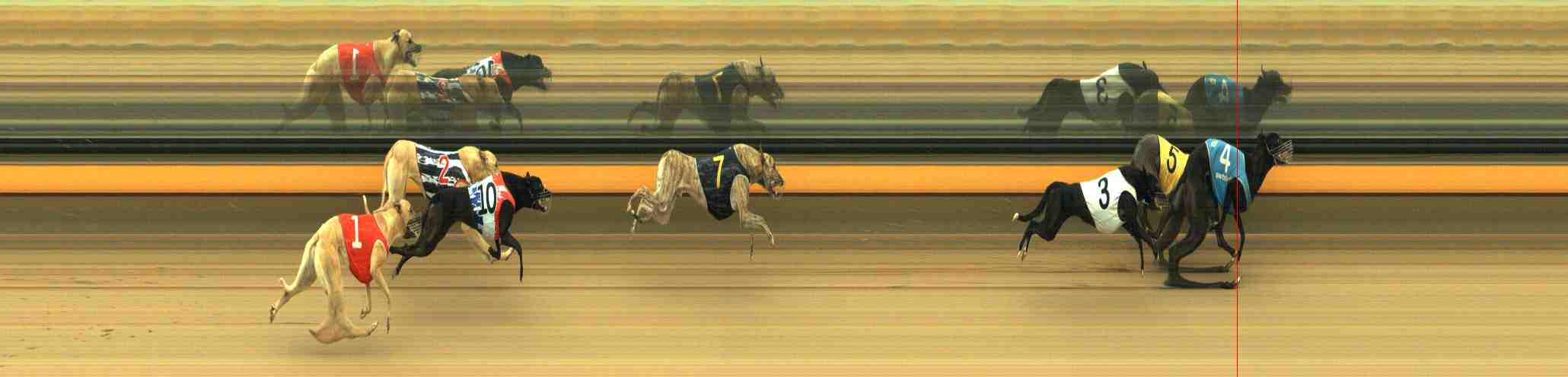 Photo finish for Horsham Race 10