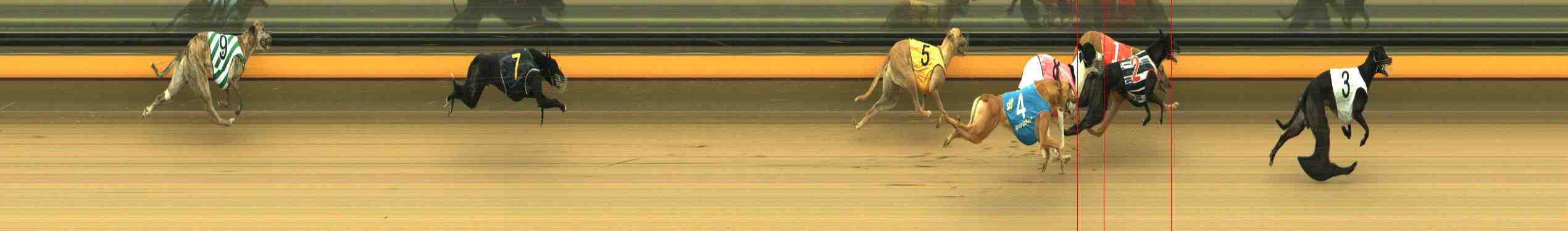Photo finish for Horsham Race 11