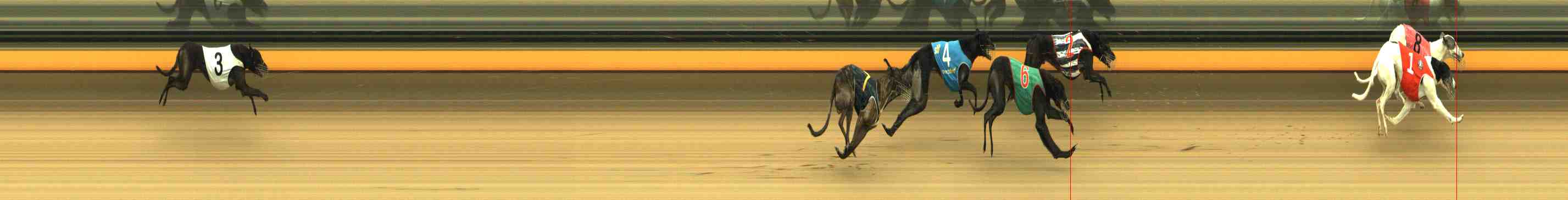 Photo finish for Horsham Race 12
