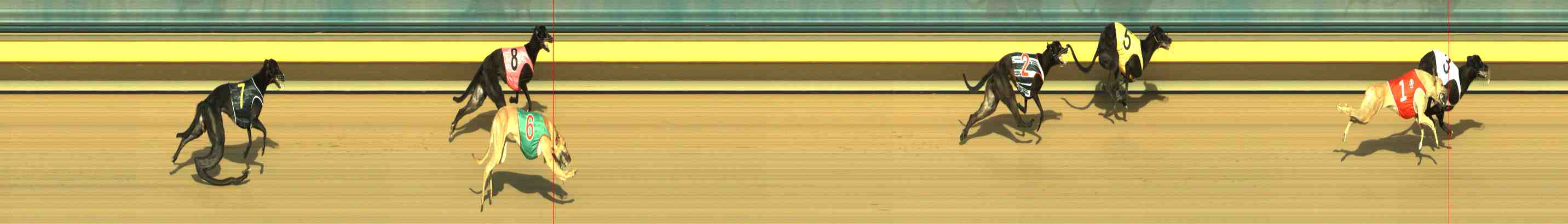 Photo finish for Horsham Race 1