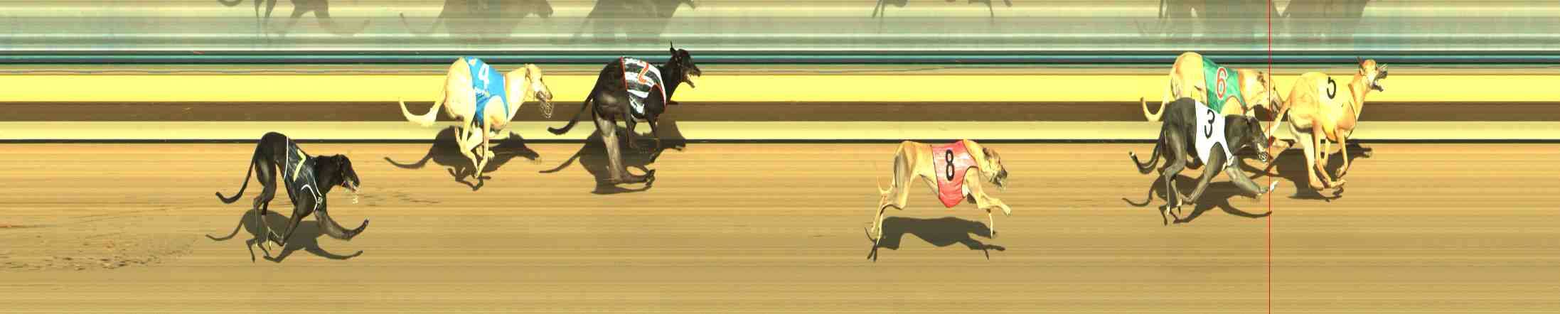 Photo finish for Horsham Race 2