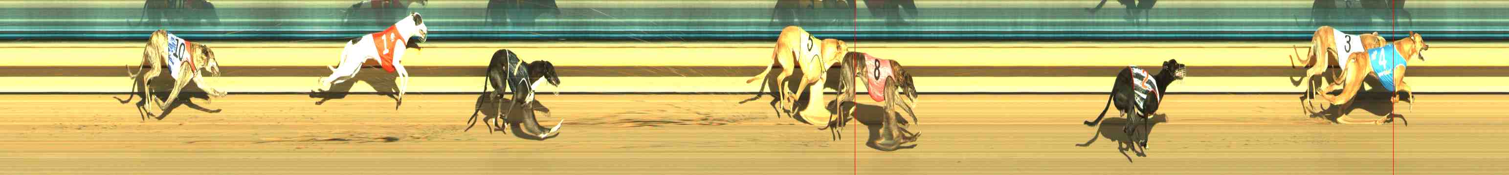 Photo finish for Horsham Race 3