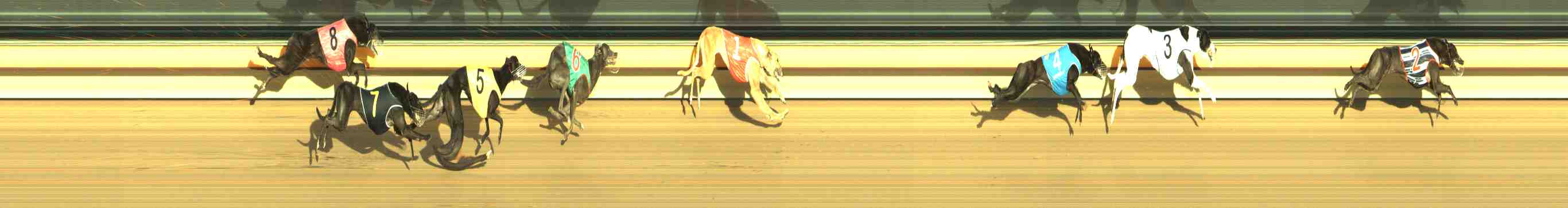 Photo finish for Horsham Race 4