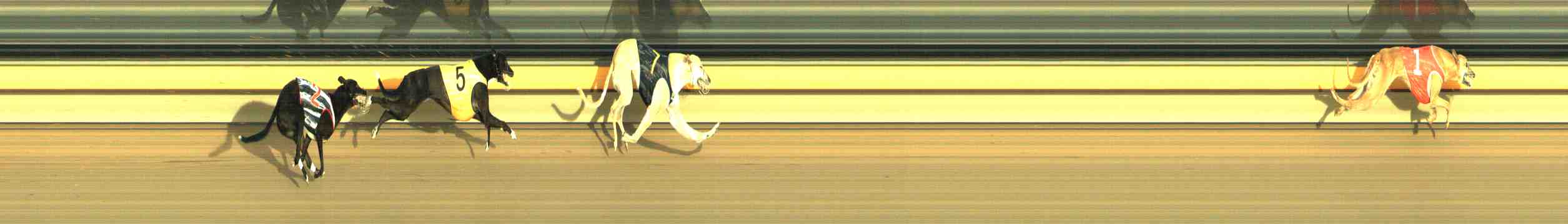 Photo finish for Horsham Race 5