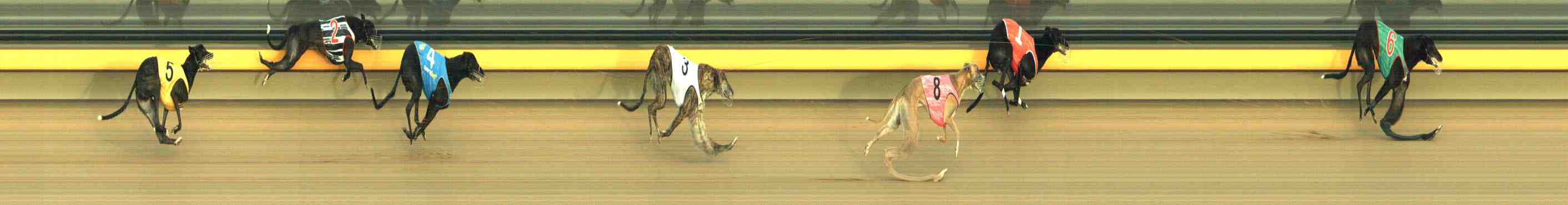 Photo finish for Horsham Race 6