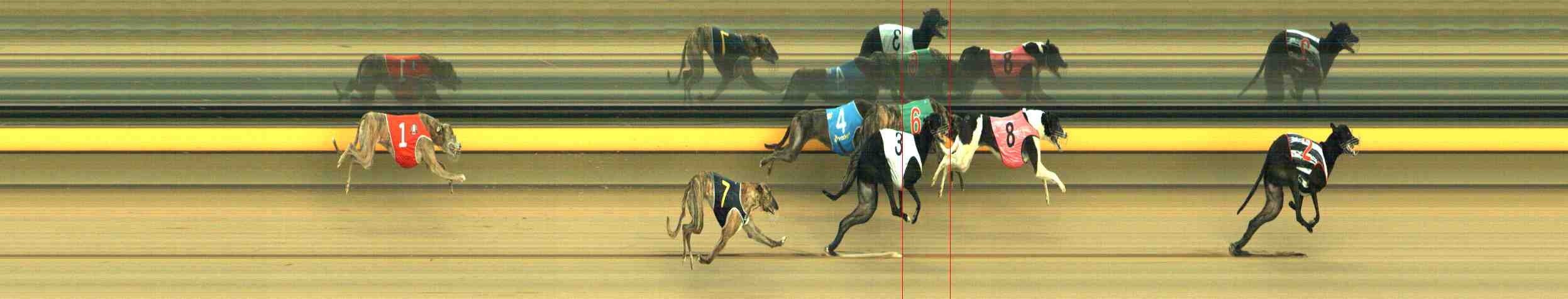 Photo finish for Horsham Race 7