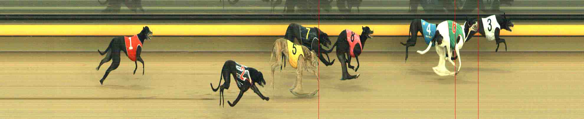 Photo finish for Horsham Race 8