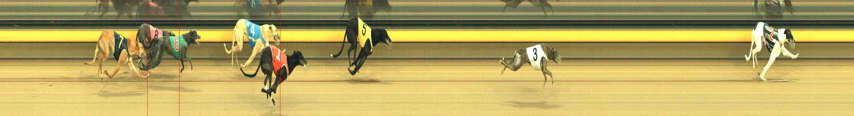 Photo finish for Horsham Race 9