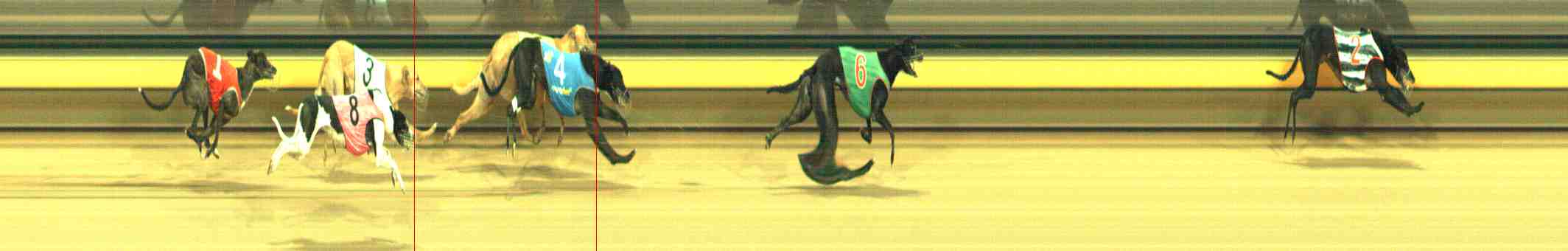 Photo finish for Horsham Race 10