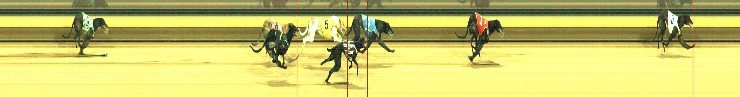 Photo finish for Horsham Race 11