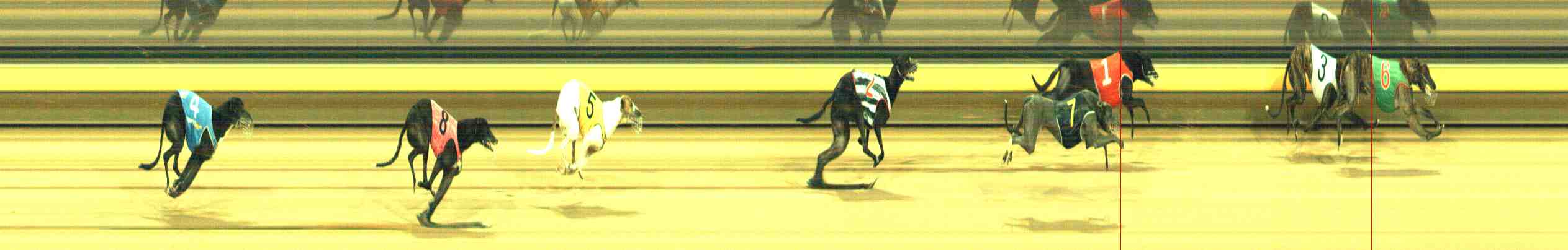 Photo finish for Horsham Race 12