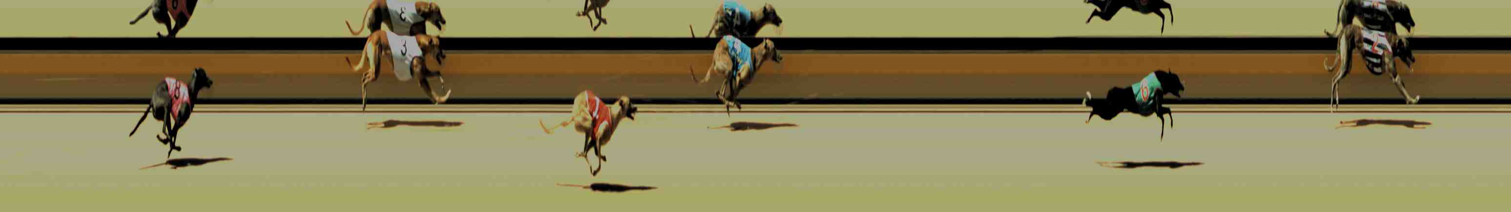 Race result finish photo