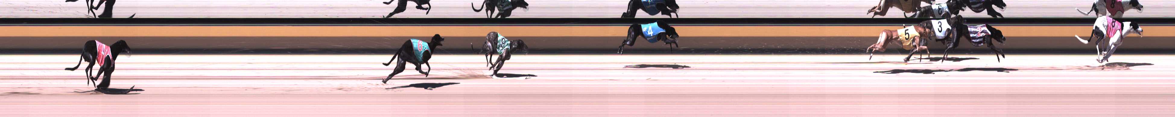 Race result finish photo