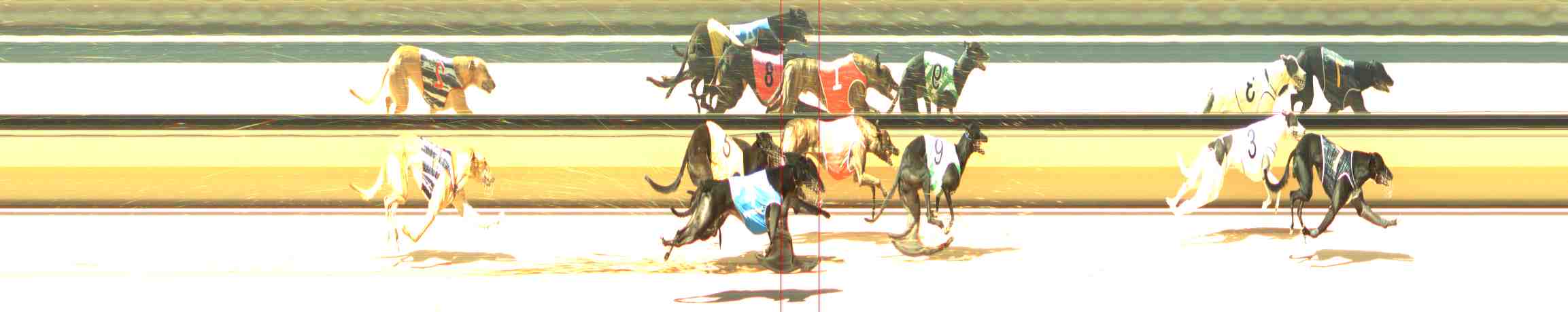 Race result finish photo