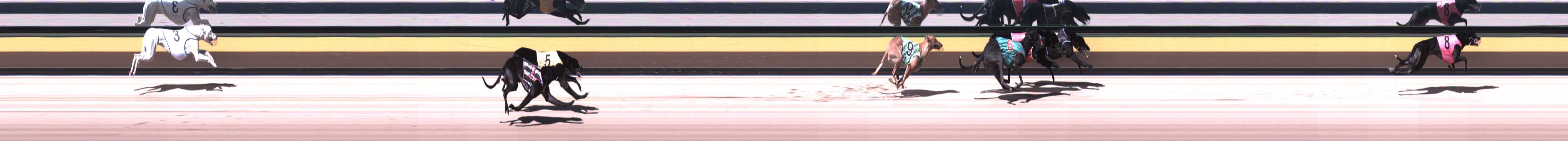 Race result finish photo