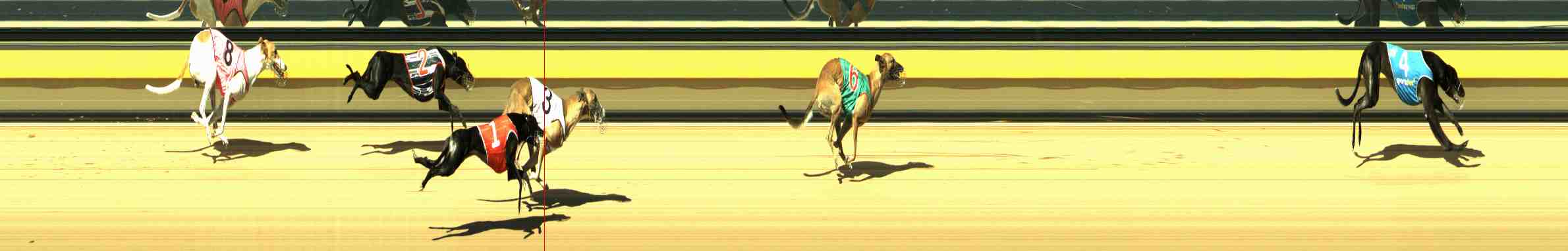 Race result finish photo