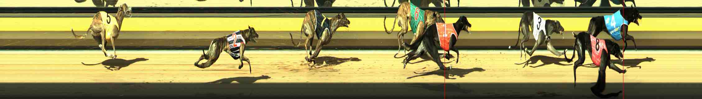 Race result finish photo