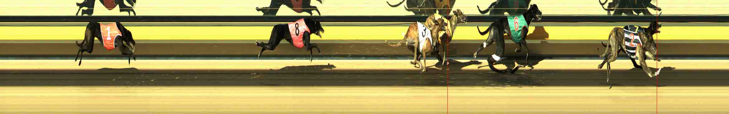 Race result finish photo