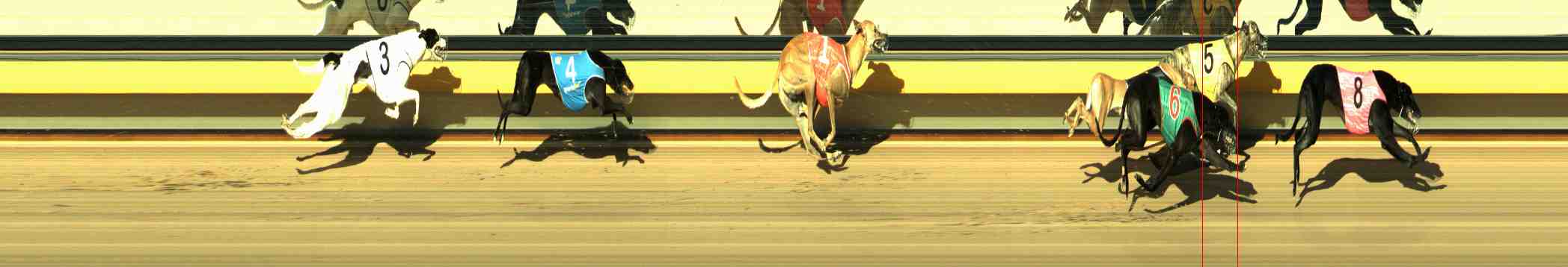 Race result finish photo