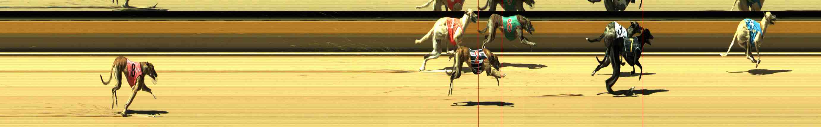 Photo finish for Horsham Race 1