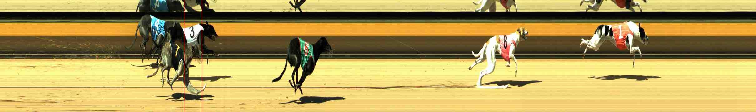 Photo finish for Horsham Race 2