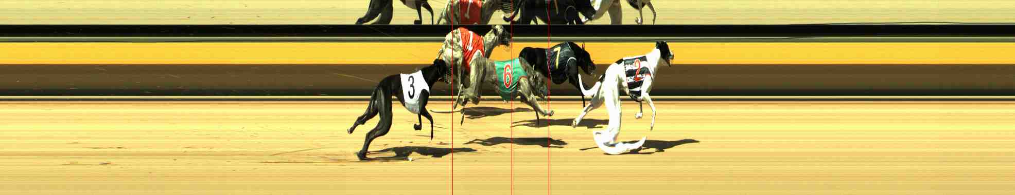 Photo finish for Horsham Race 3