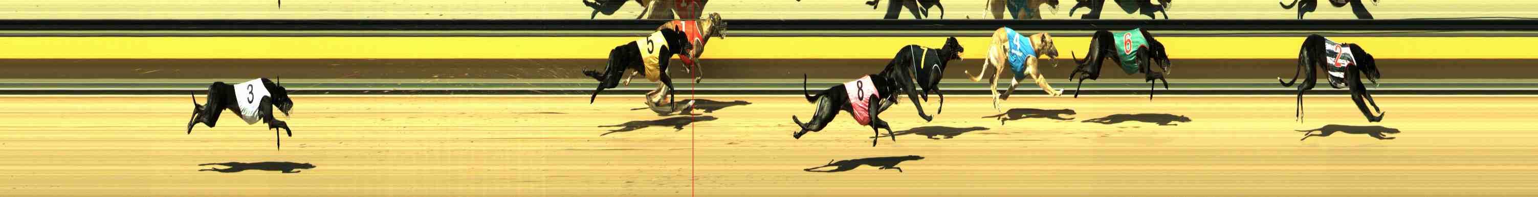 Photo finish for Horsham Race 4
