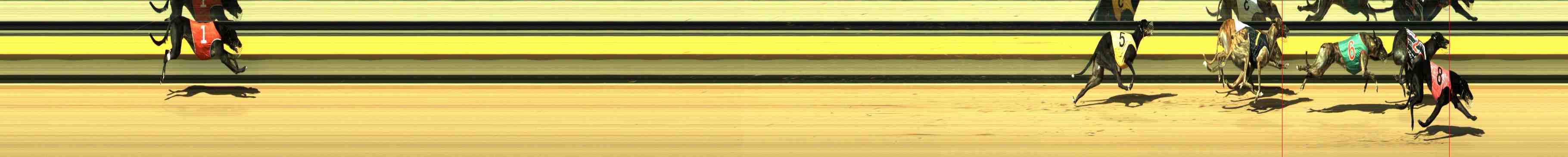 Photo finish for Horsham Race 5