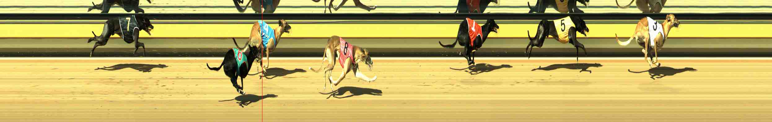 Photo finish for Horsham Race 6