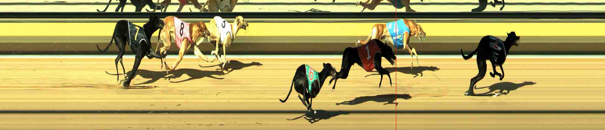 Photo finish for Horsham Race 7