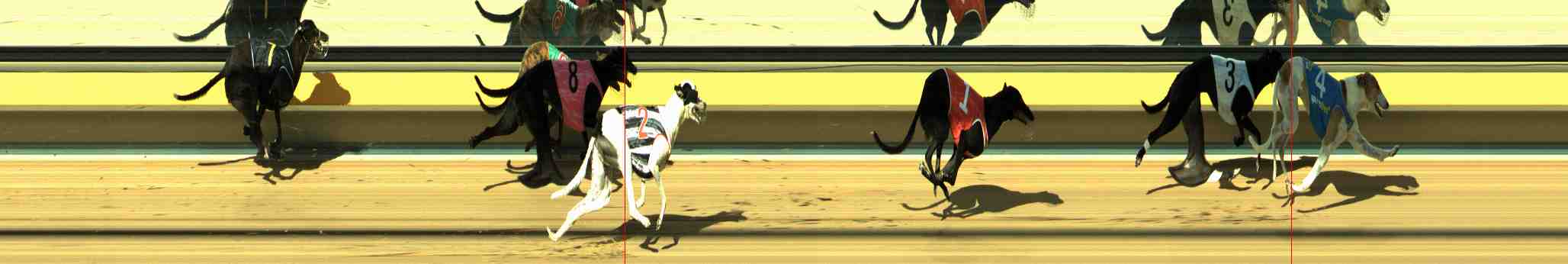 Photo finish for Horsham Race 8