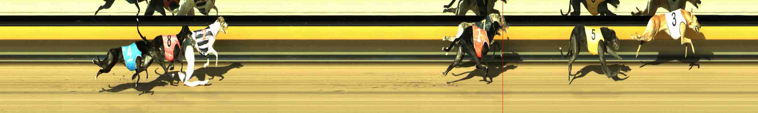Photo finish for Horsham Race 9