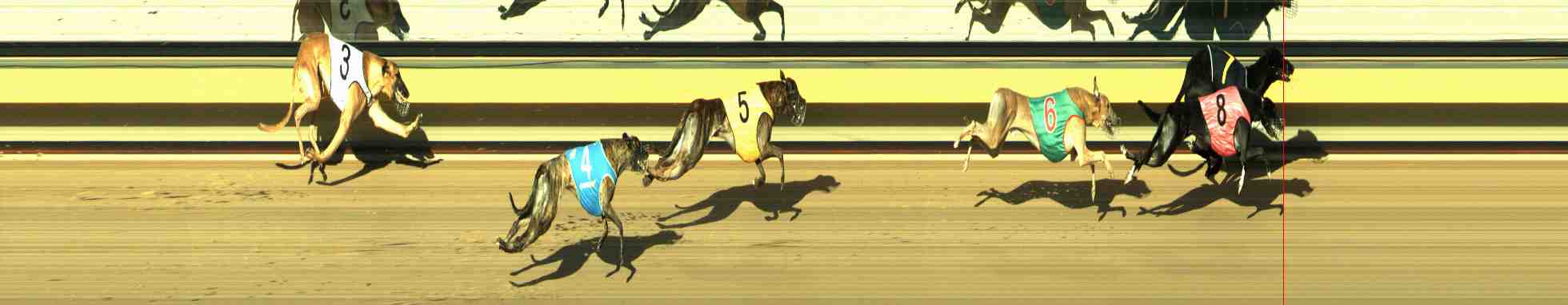 Photo finish for Horsham Race 10