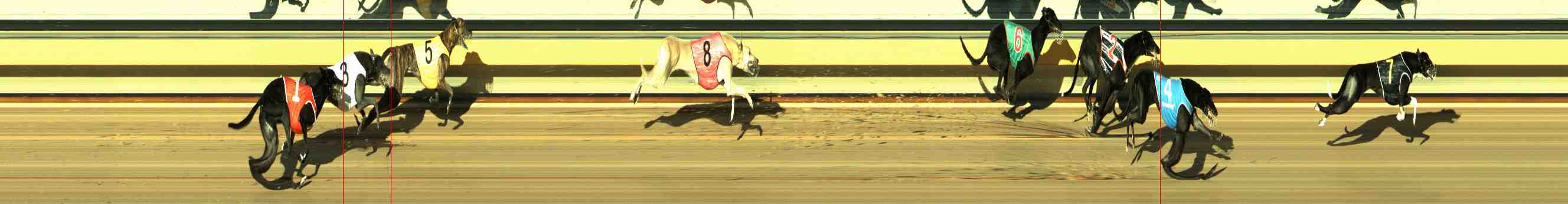 Photo finish for Horsham Race 11