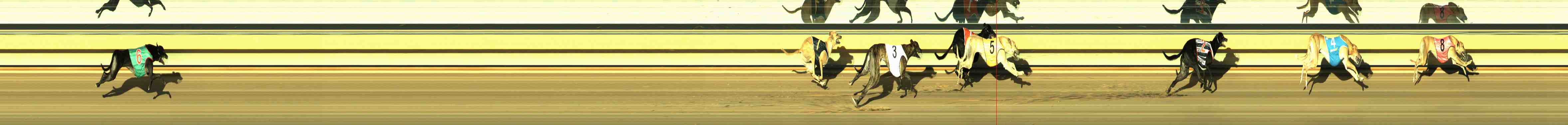 Photo finish for Horsham Race 12