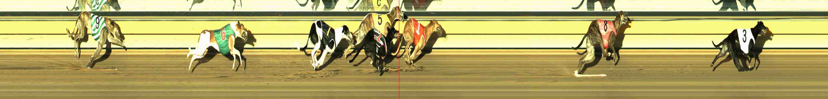 Photo finish for Horsham Race 13