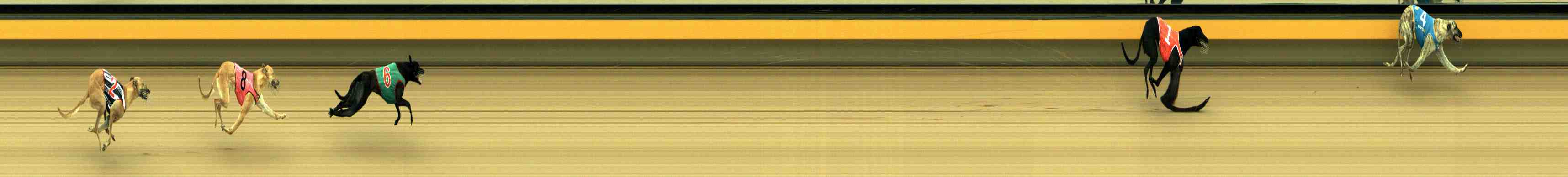 Photo finish for Horsham Race 1