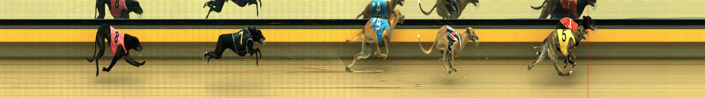 Photo finish for Horsham Race 2