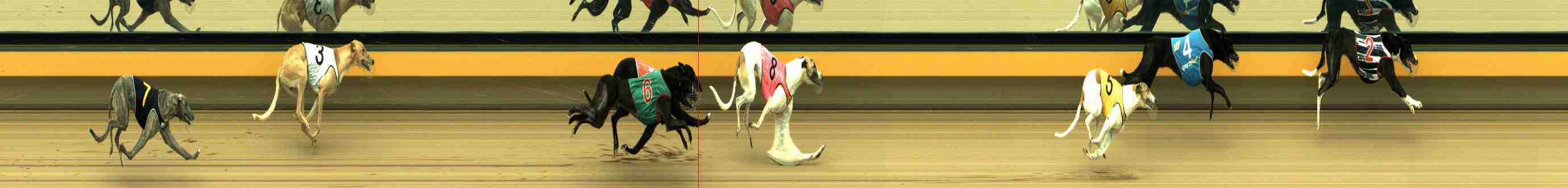 Photo finish for Horsham Race 3