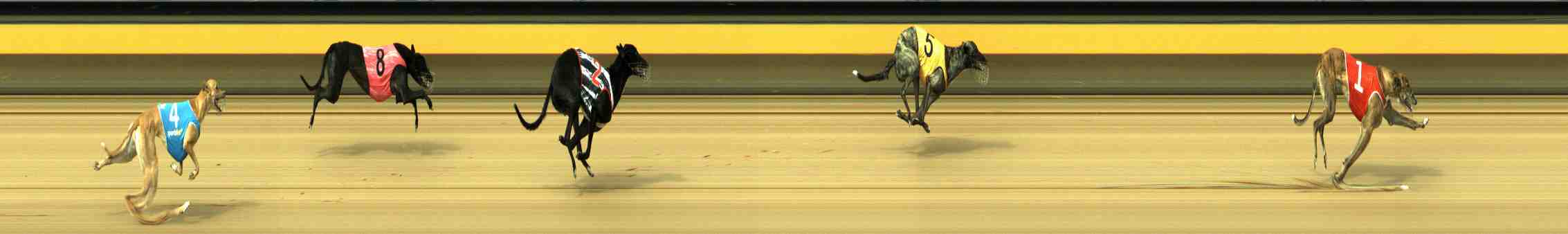 Photo finish for Horsham Race 4