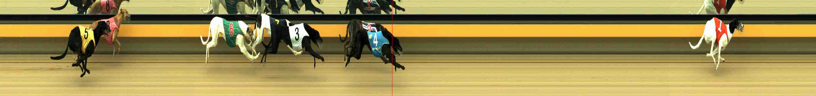 Photo finish for Horsham Race 5