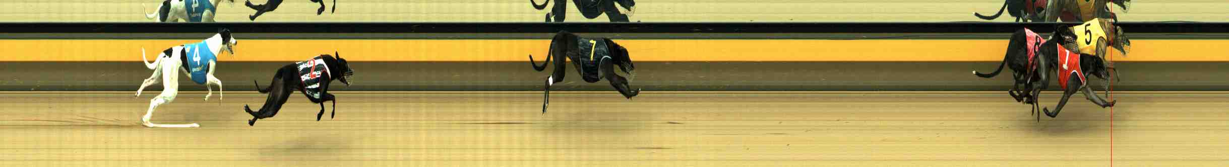 Photo finish for Horsham Race 6