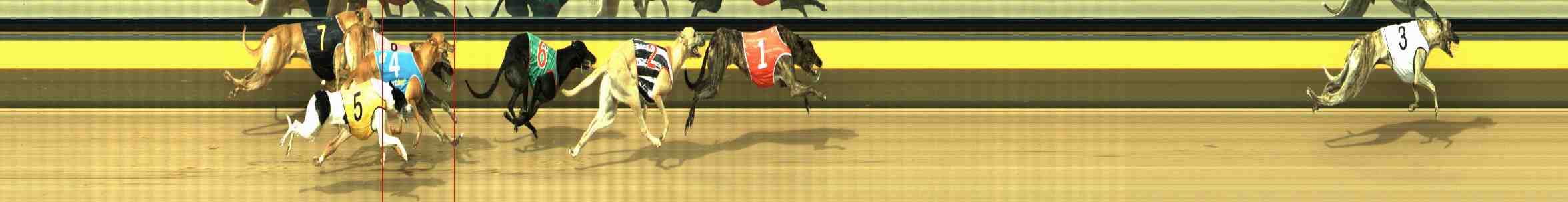 Photo finish for Horsham Race 7