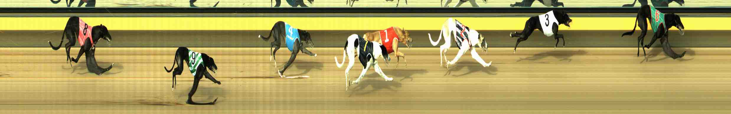 Photo finish for Horsham Race 8