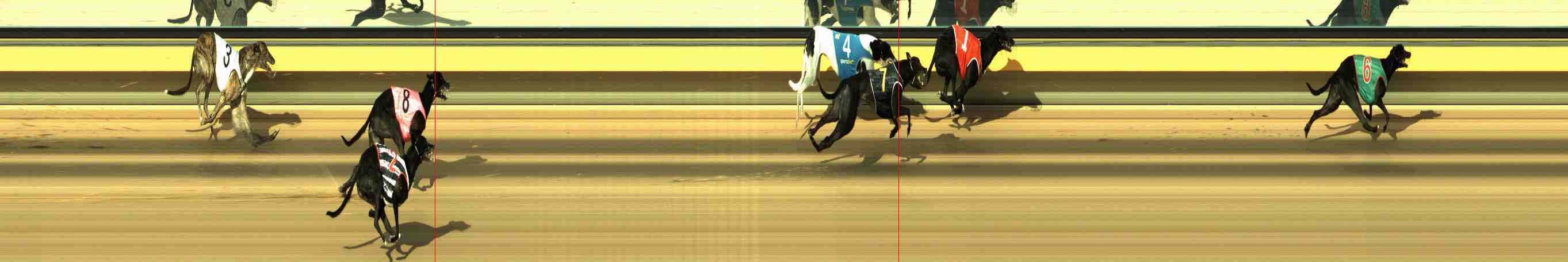 Photo finish for Horsham Race 9