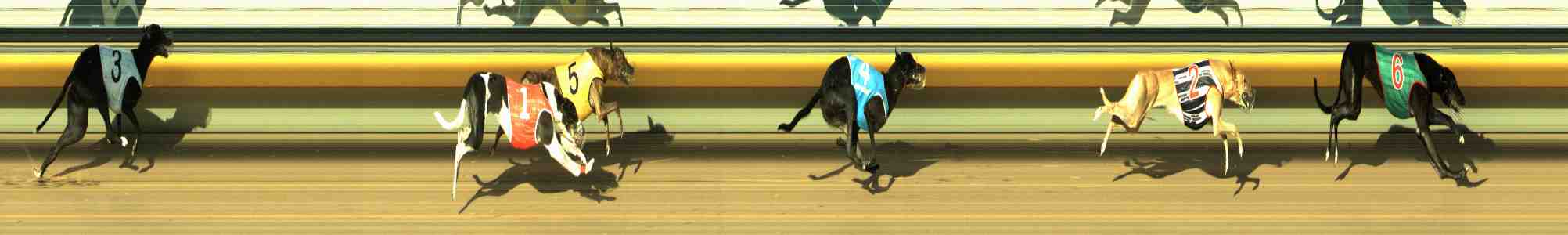 Photo finish for Horsham Race 10